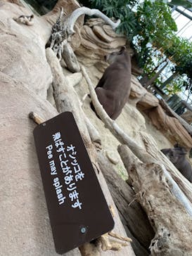 神戸どうぶつ王国に投稿された画像（2020/12/13）