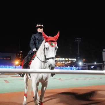 東京メガイルミに投稿された画像（2020/12/13）