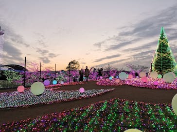 よみうりランド 遊園地に投稿された画像（2020/12/13）
