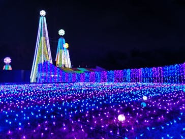 よみうりランド 遊園地に投稿された画像（2020/12/13）