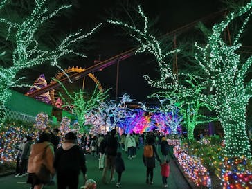 よみうりランド 遊園地に投稿された画像（2020/12/13）