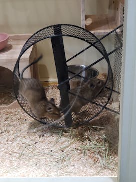 サンシャイン水族館に投稿された画像（2020/12/13）