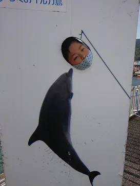 うみたま体験パーク 「つくみイルカ島」に投稿された画像（2020/12/13）