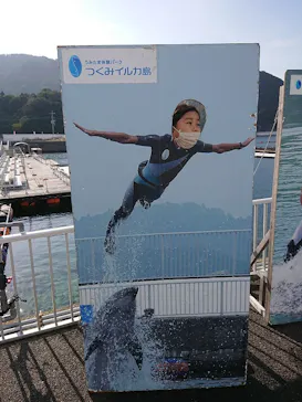 うみたま体験パーク 「つくみイルカ島」に投稿された画像（2020/12/13）
