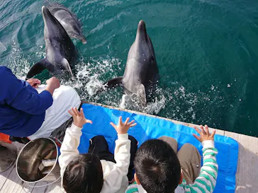 うみたま体験パーク 「つくみイルカ島」に投稿された画像（2020/12/13）