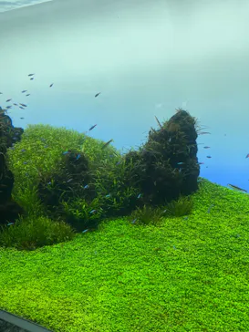 すみだ水族館に投稿された画像（2020/12/13）