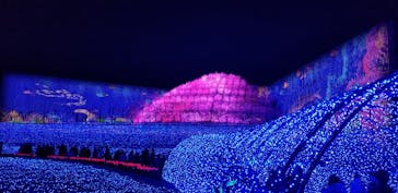 なばなの里に投稿された画像（2020/12/13）