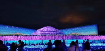 なばなの里に投稿された画像（2020/12/13）