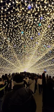 なばなの里に投稿された画像（2020/12/13）