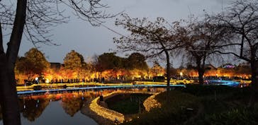 なばなの里に投稿された画像（2020/12/13）