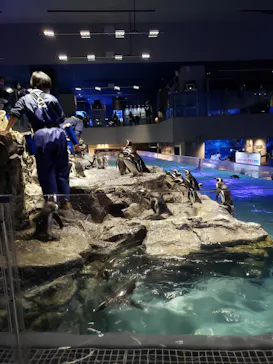 すみだ水族館に投稿された画像（2020/12/13）