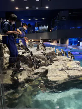 すみだ水族館に投稿された画像（2020/12/13）