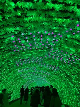 なばなの里に投稿された画像（2020/12/13）