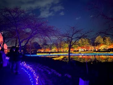 なばなの里に投稿された画像（2020/12/13）