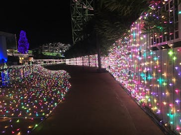 よみうりランド 遊園地に投稿された画像（2020/12/14）