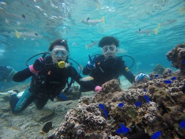 武藤潜水に投稿された画像（2020/12/14）