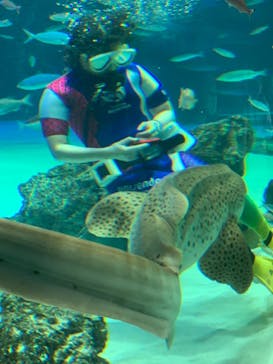 サンシャイン水族館に投稿された画像（2020/12/14）