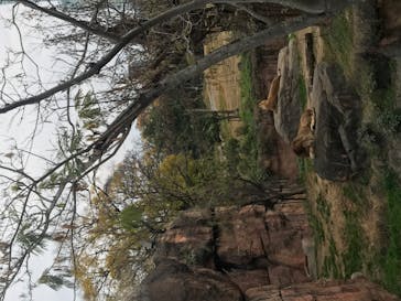 天王寺動物園に投稿された画像（2020/12/14）