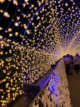 東京メガイルミに投稿された画像（2020/12/14）