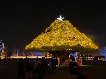 東京メガイルミに投稿された画像（2020/12/14）