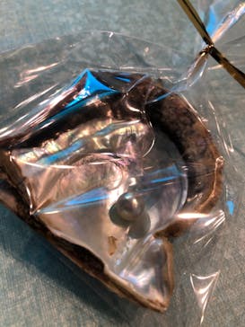 しながわ水族館に投稿された画像（2020/12/14）