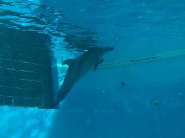 しながわ水族館に投稿された画像（2020/12/14）