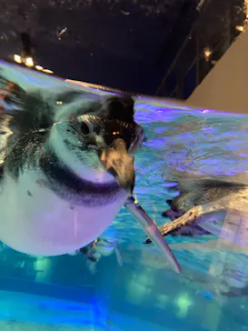 すみだ水族館に投稿された画像（2020/12/14）