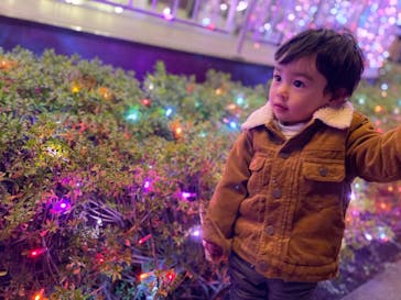 よみうりランド 遊園地に投稿された画像（2020/12/14）