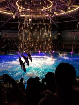 マクセル アクアパーク品川に投稿された画像（2020/12/14）