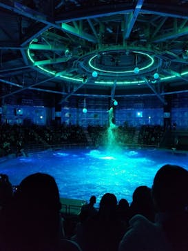 マクセル アクアパーク品川に投稿された画像（2020/12/14）