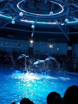 マクセル アクアパーク品川に投稿された画像（2020/12/14）