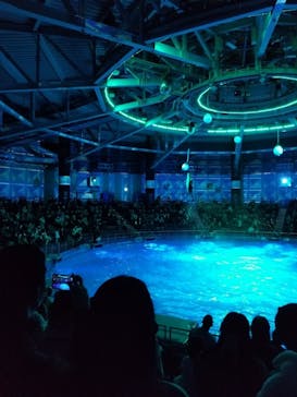 マクセル アクアパーク品川に投稿された画像（2020/12/14）