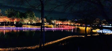 なばなの里に投稿された画像（2020/12/14）