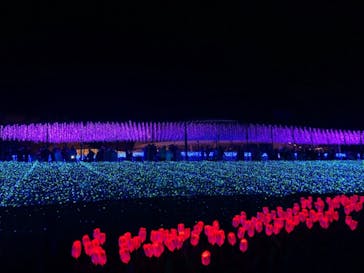 なばなの里に投稿された画像（2020/12/14）