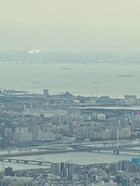 東京スカイツリーに投稿された画像（2020/12/14）