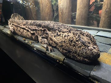 京都水族館に投稿された画像（2020/12/14）