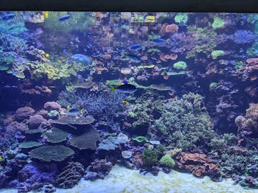 大分マリーンパレス水族館 「うみたまご」に投稿された画像（2020/12/14）