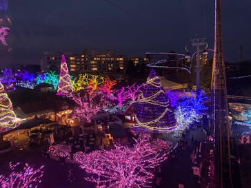 よみうりランド 遊園地に投稿された画像（2020/12/14）