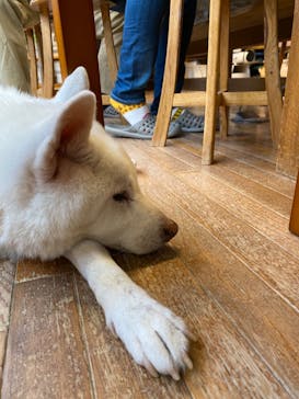 陶芸の丘 想工房に投稿された画像（2020/12/14）