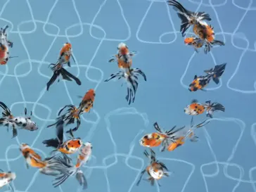 すみだ水族館に投稿された画像（2020/12/14）