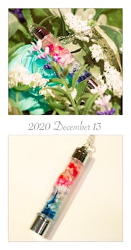 ずこうしつ〜sugamo〜に投稿された画像（2020/12/14）