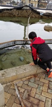 志摩市浜島磯体験施設 海ほおずきに投稿された画像（2020/12/14）