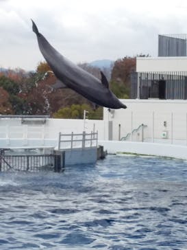 京都水族館に投稿された画像（2020/12/14）