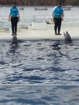 京都水族館に投稿された画像（2020/12/14）