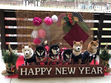 わんダフルネイチャーヴィレッジに投稿された画像（2020/12/14）