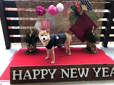 わんダフルネイチャーヴィレッジに投稿された画像（2020/12/14）