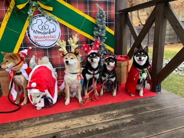 わんダフルネイチャーヴィレッジに投稿された画像（2020/12/14）