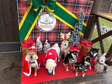 わんダフルネイチャーヴィレッジに投稿された画像（2020/12/14）