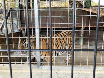 しろとり動物園に投稿された画像（2020/12/14）