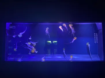 すみだ水族館に投稿された画像（2020/12/14）